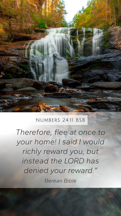 Numbers 24:11 BSB Bible Verse Image