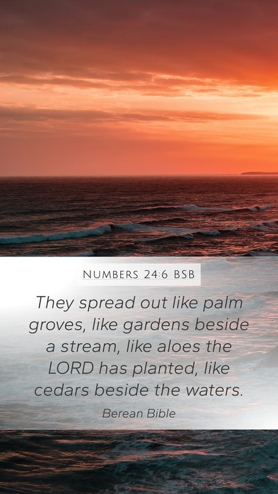 Numbers 24:6 BSB Mobile Phone Wallpaper - They spread out like palm groves, like gardens - Mobile Bible Verse Wallpaper
