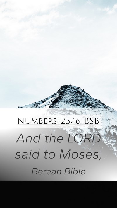 Numbers 25:16 BSB Mobile Phone Wallpaper - And the LORD said to - Mobile Bible Verse Wallpaper