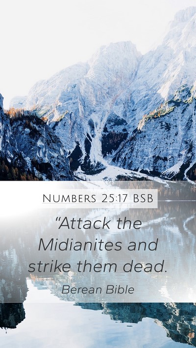 Numbers 25:17 BSB Bible Verse Image