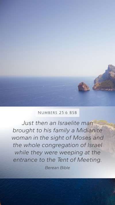 Numbers 25:6 BSB Bible Verse Image