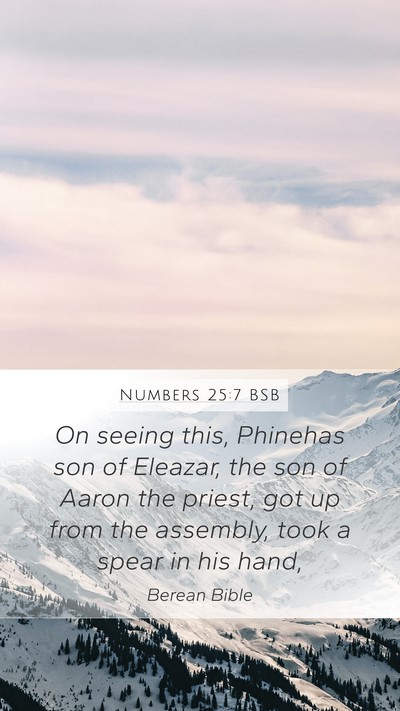 Numbers 25:7 BSB Mobile Phone Wallpaper - On seeing this, Phinehas son of Eleazar, the son - Mobile Bible Verse Wallpaper