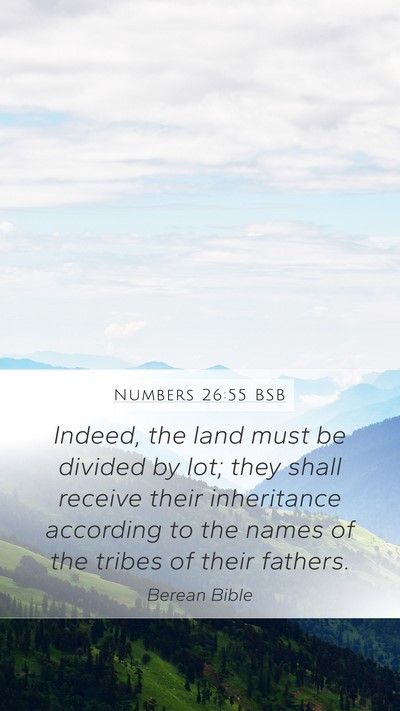 Numbers 26:55 BSB Bible Verse Image