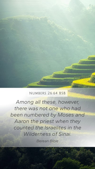 Numbers 26:64 BSB Bible Verse Image