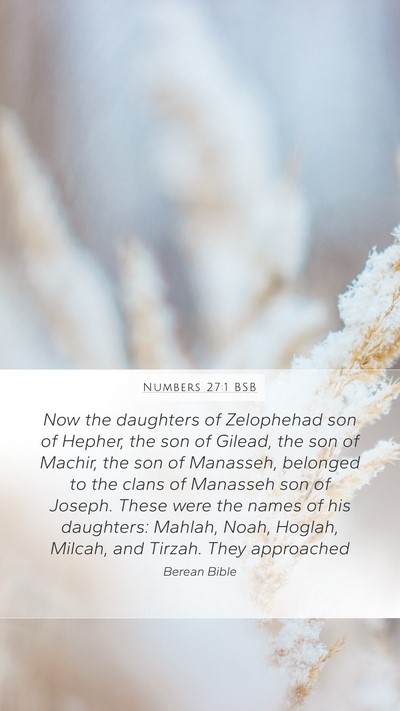 Numbers 27:1 BSB Bible Verse Image