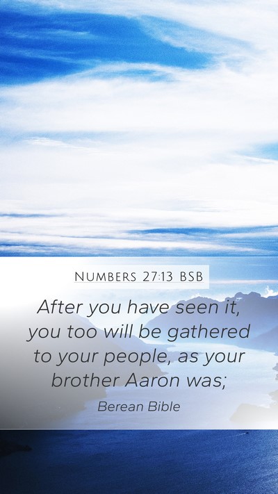 Numbers 27:13 BSB Bible Verse Image