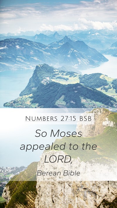 Numbers 27:15 BSB Mobile Phone Wallpaper - So Moses appealed to the - Mobile Bible Verse Wallpaper