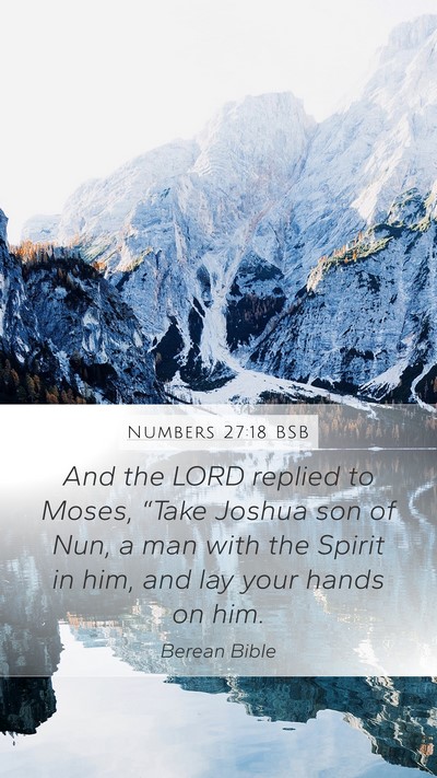 Numbers 27:18 BSB Bible Verse Image