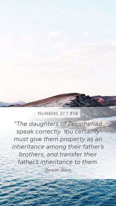 Numbers 27:7 BSB Bible Verse Image