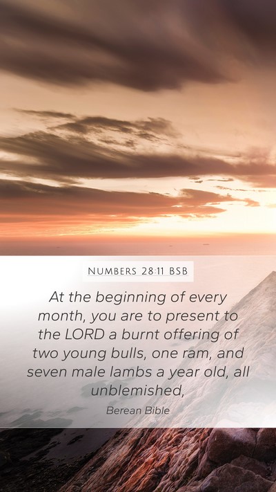 Numbers 28:11 BSB Bible Verse Image