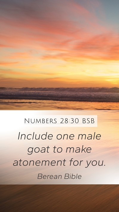 Numbers 28:30 BSB Bible Verse Image
