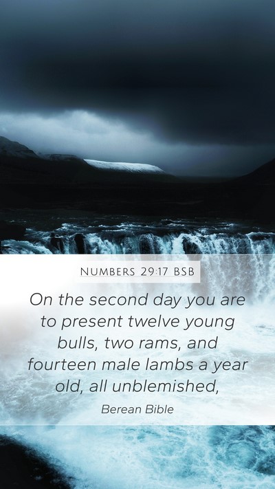 Numbers 29:17 BSB Mobile Phone Wallpaper - On the second day you are to present twelve young - Mobile Bible Verse Wallpaper