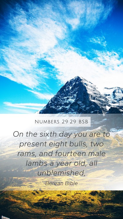 Numbers 29:29 BSB Mobile Phone Wallpaper - On the sixth day you are to present eight bulls, - Mobile Bible Verse Wallpaper