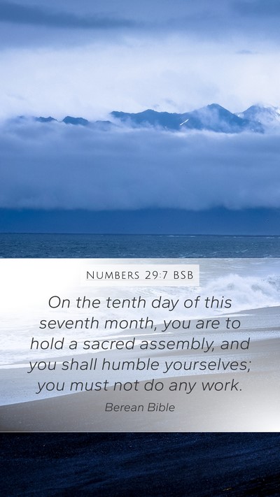 Numbers 29:7 BSB Bible Verse Image