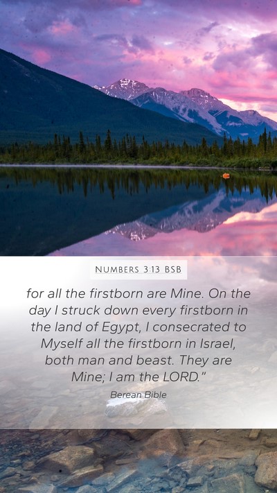 Numbers 3:13 BSB Mobile Phone Wallpaper - for all the firstborn are Mine. On the day I - Mobile Bible Verse Wallpaper