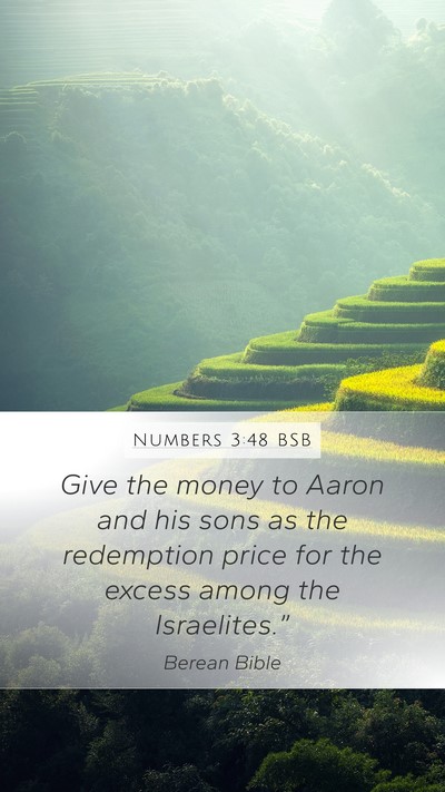 Numbers 3:48 BSB Mobile Phone Wallpaper - Give the money to Aaron and his sons as the - Mobile Bible Verse Wallpaper