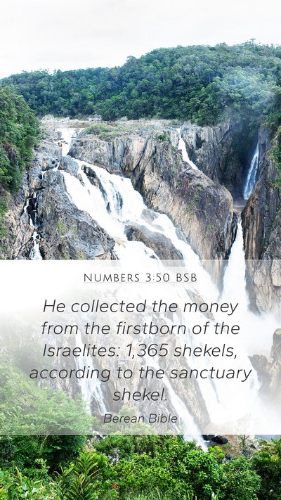 Numbers 3:50 BSB Mobile Phone Wallpaper - He collected the money from the firstborn of the - Mobile Bible Verse Wallpaper