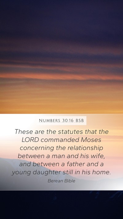 Numbers 30:16 BSB Bible Verse Image