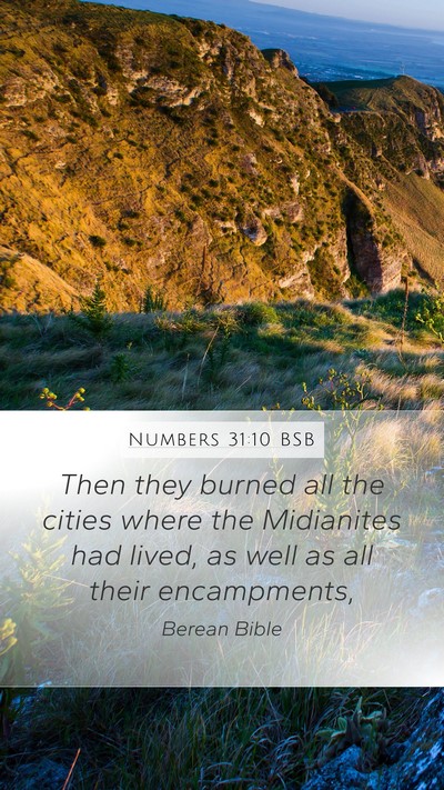 Numbers 31:10 BSB Mobile Phone Wallpaper - Then they burned all the cities where the - Mobile Bible Verse Wallpaper