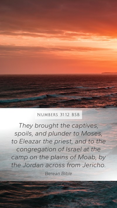Numbers 31:12 BSB Bible Verse Image