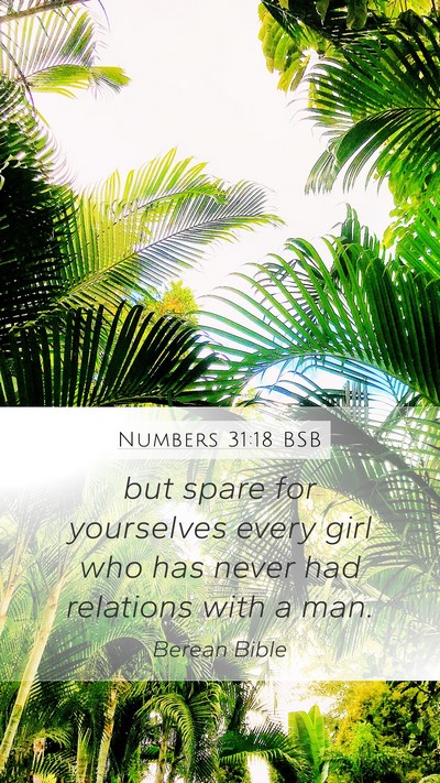 Numbers 31:18 BSB Bible Verse Image