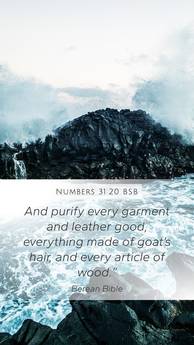 Numbers 31:20 BSB Bible Verse Image