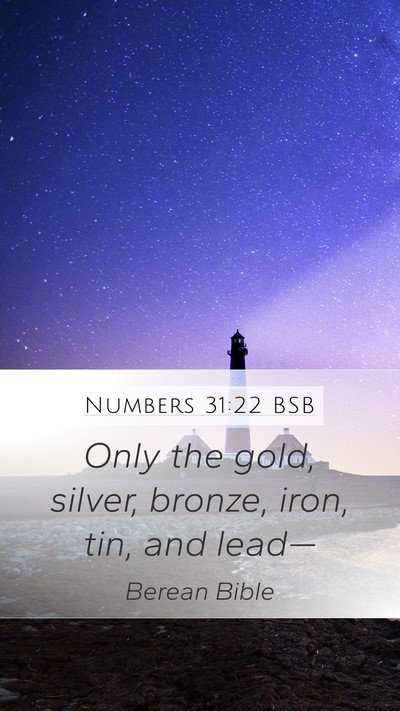 Numbers 31:22 BSB Bible Verse Image