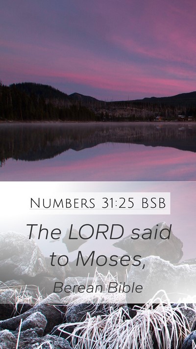Numbers 31:25 BSB Mobile Phone Wallpaper - The LORD said to - Mobile Bible Verse Wallpaper