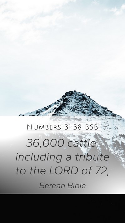 Numbers 31:38 BSB Mobile Phone Wallpaper - 36,000 cattle, including a tribute to the LORD of - Mobile Bible Verse Wallpaper