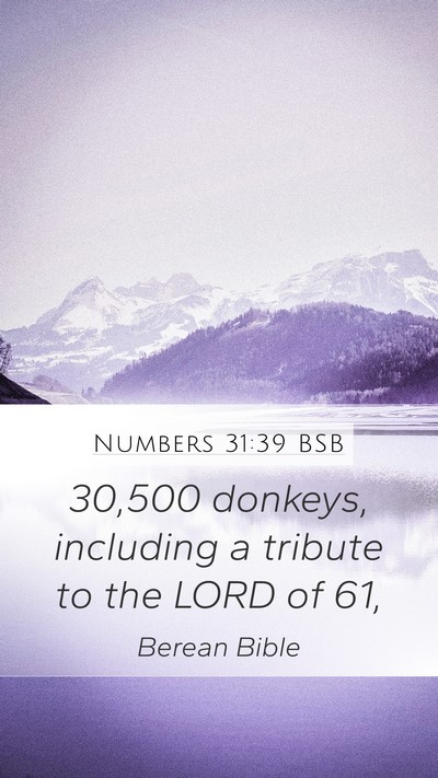 Numbers 31:39 BSB Mobile Phone Wallpaper - 30,500 donkeys, including a tribute to the LORD - Mobile Bible Verse Wallpaper