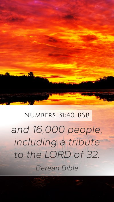 Numbers 31:40 BSB Mobile Phone Wallpaper - and 16,000 people, including a tribute to the - Mobile Bible Verse Wallpaper