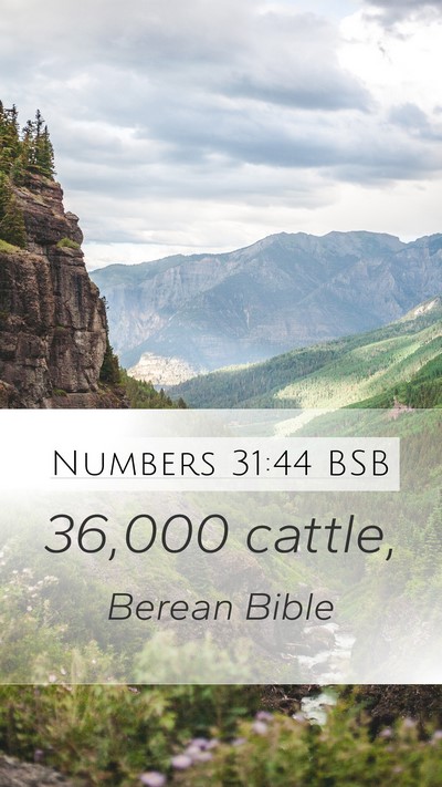 Numbers 31:44 BSB Mobile Phone Wallpaper - 36,000 - Mobile Bible Verse Wallpaper
