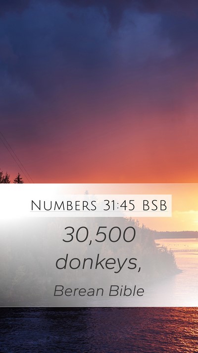 Numbers 31:45 BSB Mobile Phone Wallpaper - 30,500 - Mobile Bible Verse Wallpaper
