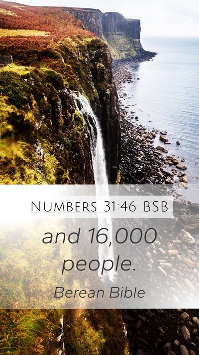 Numbers 31:46 BSB Mobile Phone Wallpaper - and 16,000 - Mobile Bible Verse Wallpaper
