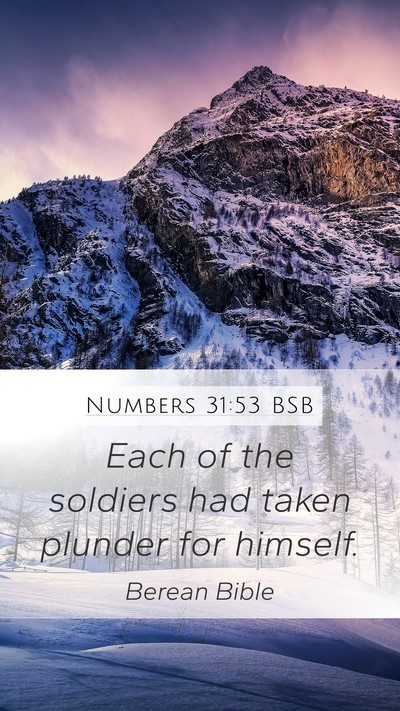 Numbers 31:53 BSB Mobile Phone Wallpaper - Each of the soldiers had taken plunder for - Mobile Bible Verse Wallpaper