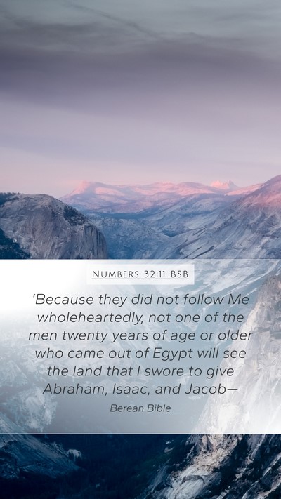 Numbers 32:11 BSB Bible Verse Image