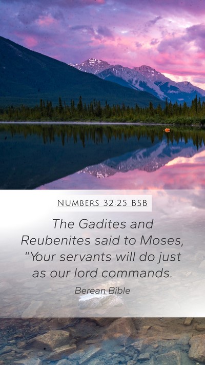 Numbers 32:25 BSB Bible Verse Image