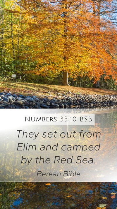 Numbers 33:10 BSB Mobile Phone Wallpaper - They set out from Elim and camped by the Red - Mobile Bible Verse Wallpaper