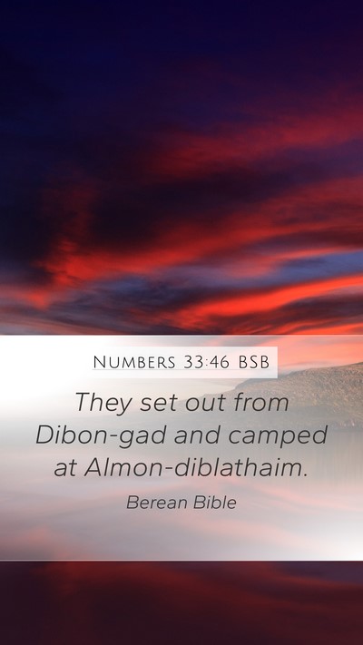Numbers 33:46 BSB Bible Verse Image