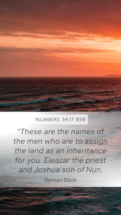 Numbers 34:17 BSB Bible Verse Image