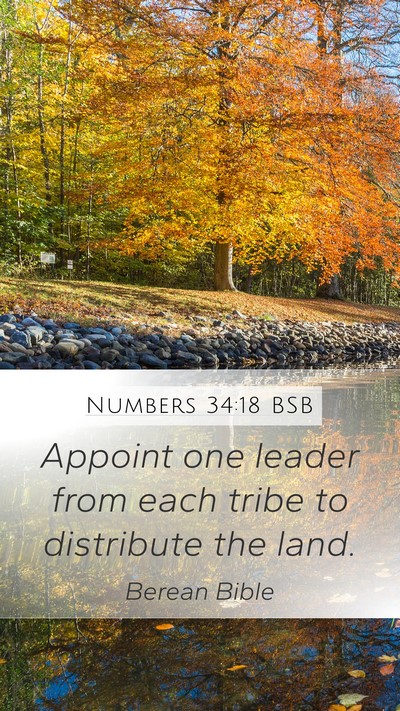Numbers 34:18 BSB Bible Verse Image