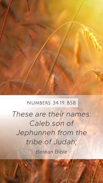 Numbers 34:19 BSB Mobile Phone Wallpaper - These are their names: Caleb son of Jephunneh - Mobile Bible Verse Wallpaper
