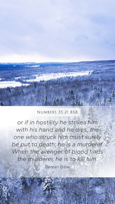 Numbers 35:21 BSB Bible Verse Image