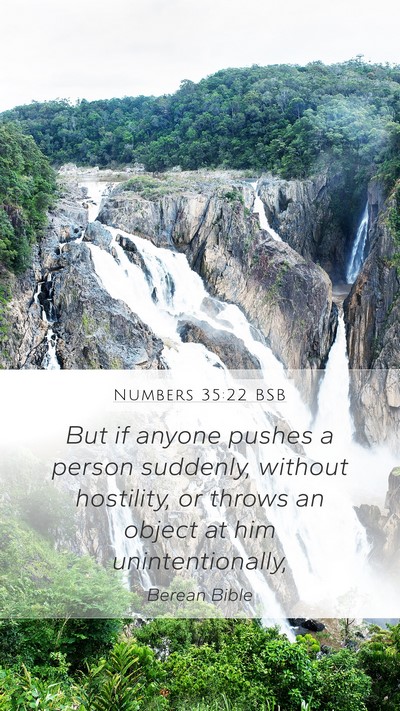 Numbers 35:22 BSB Bible Verse Image