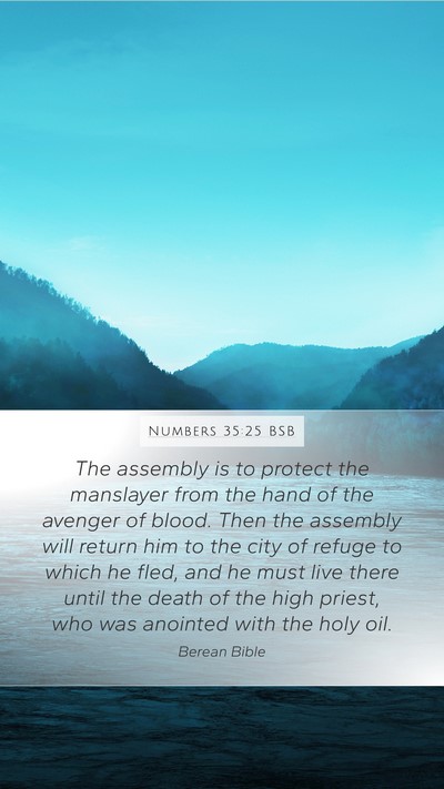 Numbers 35:25 BSB Bible Verse Image