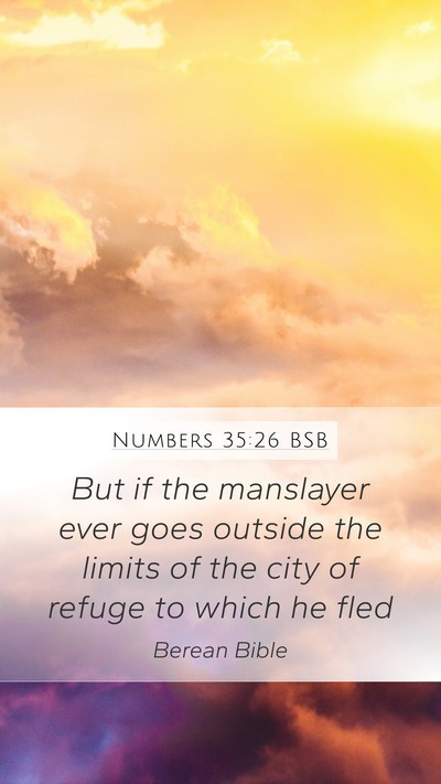 Numbers 35:26 BSB Mobile Phone Wallpaper - But if the manslayer ever goes outside the limits - Mobile Bible Verse Wallpaper