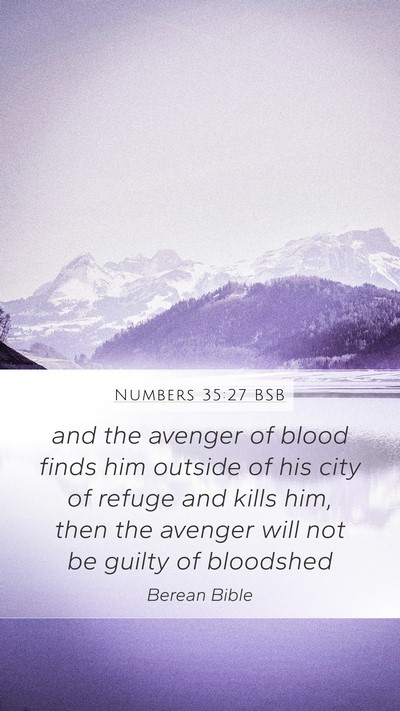 Numbers 35:27 BSB Bible Verse Image