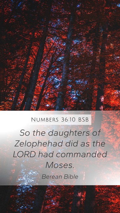 Numbers 36:10 BSB Bible Verse Image