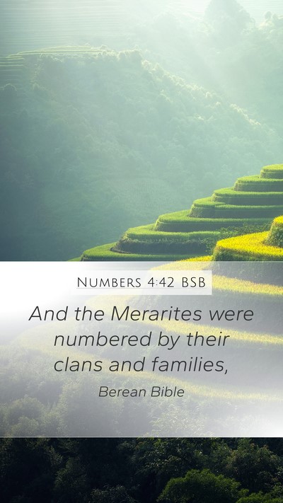 Numbers 4:42 BSB Bible Verse Image
