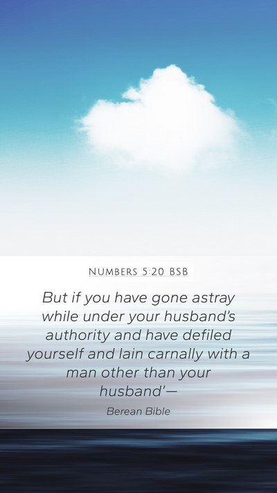 Numbers 5:20 BSB Bible Verse Image